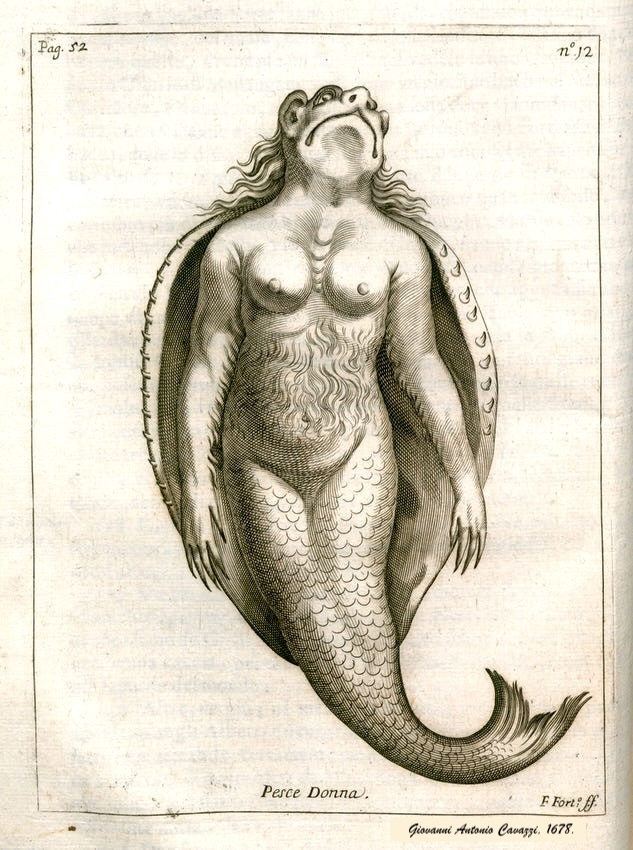llustration of “Pesce Donna” from Giovanni Antonio Cavazzi's Istorica descrizione de’ tre’ regni Congo, Matamba, et Angola (An historical description of three kingdoms: Congo, Matamba, and Angola), 1687